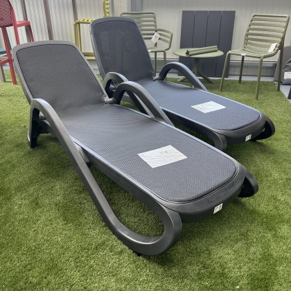 2 x Nardi Alfa sunloungers in antracite (5 day delivery)