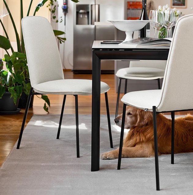 Connubia Calligaris Riley chair - metal leg - CB2157