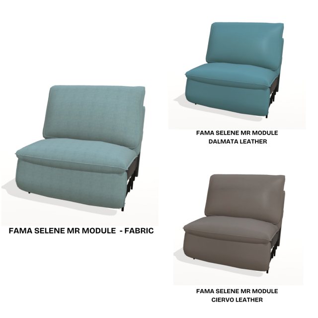 Fama Selene MR module