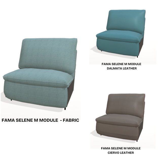 Fama Selene M module