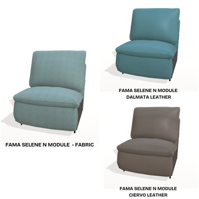 Fama Selene N module