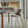 Bontempi Casa Drop Conic Legs Dining chair